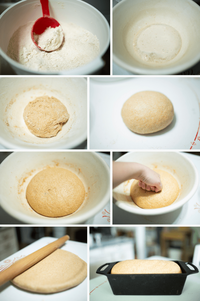 Photo collage for making spelt sandwich bread. The process of proofing yeast, first rise, second rise, etc...
