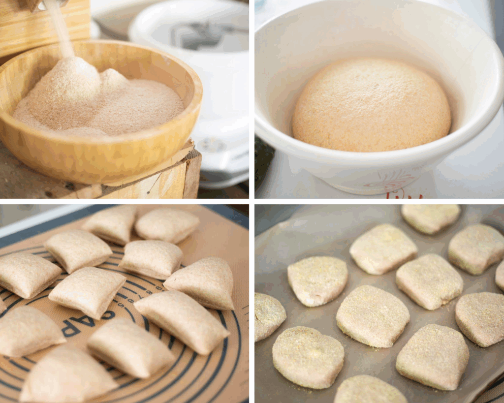 A photo collage of fresh milled english muffins in progress. First photo is fresh milled flour coming from a spout of a wooden grain mill into a wooden bowl, second is the dough in a white bowl risen, third is the dough cut into 12 pieces, fourth is the dough shaped for the muffins on a parchment lined baking sheet.
