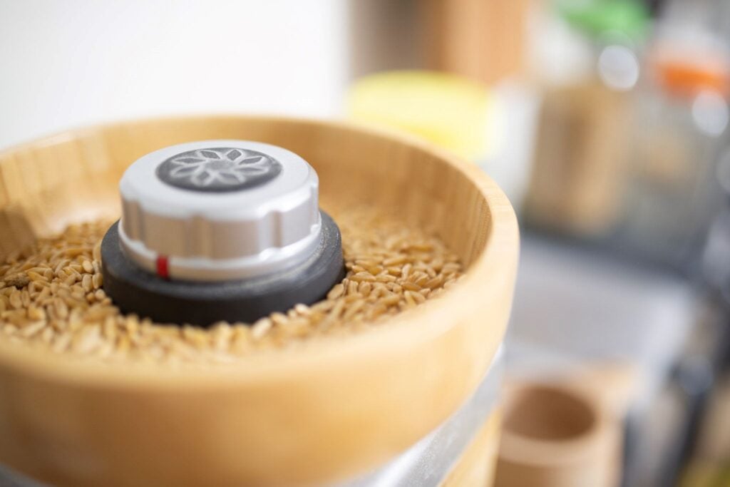 Kamut (Khorasan) berries in the hopper of a wooden grain mill.