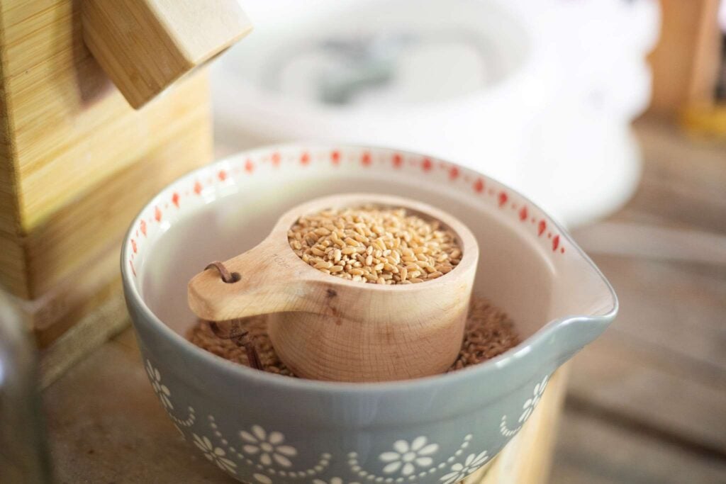 wheat berries are in a wooden measuring cup sitting in a gray bowl in front of a grain mill.