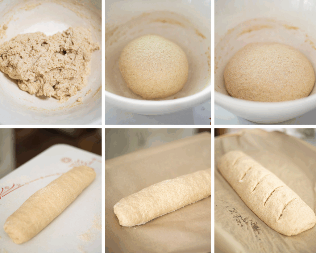 6 photos in progress of making a sourdough french loaf made with fresh milled flour. 1. just mixed dough, it is shaggy. 2. dough after stretching and folding. 3. risen dough in a cream colored bowl. 4. shaped dough of sourdough french loaf. 5. the shaped loaf risen and sitting on parchment paper. 6. scored shaped loaf on parchment paper ready to bake.