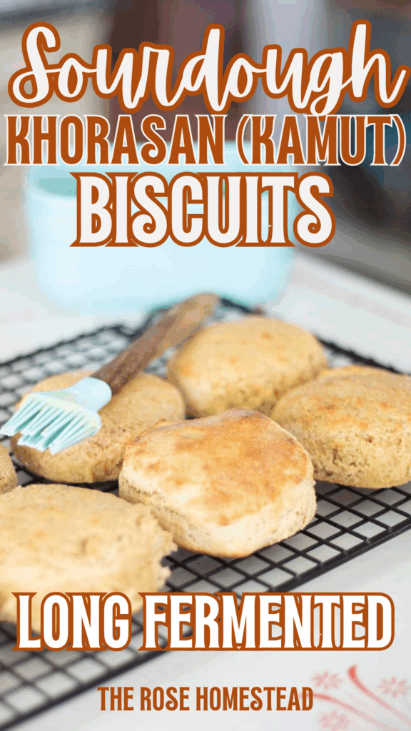 This is a pinterest pin with a photo of sourdough khorasan biscuits on a cooling rack with a basting brush on top of a biscuit and a teal colored butter dish in the background. The text reads Sourdough Khorasan (Kamut) biscuits, long fermented.