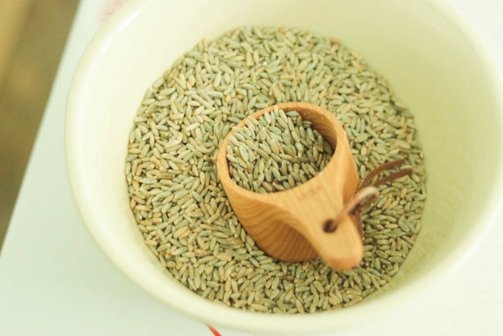 There is a cream colored bowl full of rye berries. Some of the berries are in a wooden measuring cup.