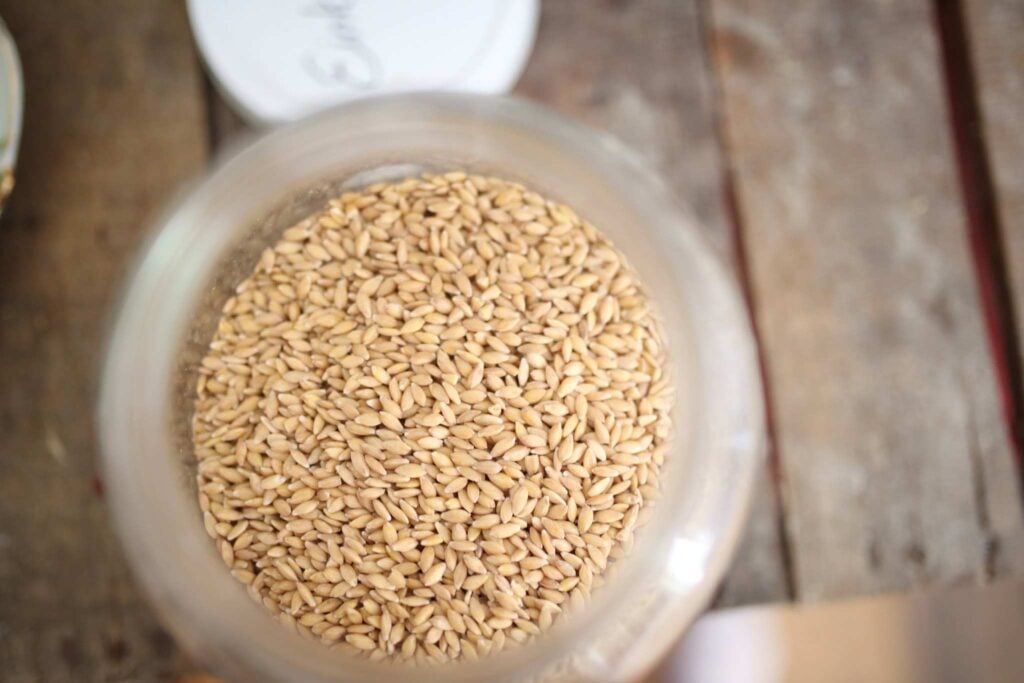 A picture looking down into a jar of wheat berries.