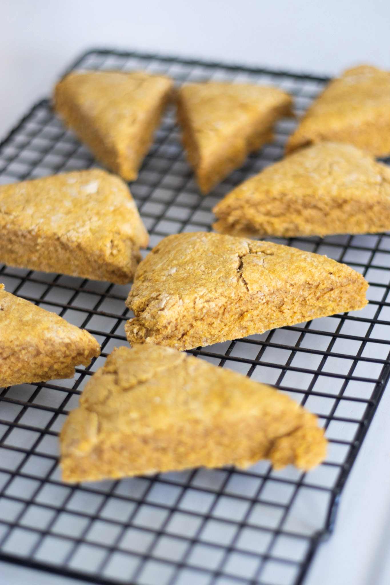 fresh milled flour pumpkin scones on a cooling rack