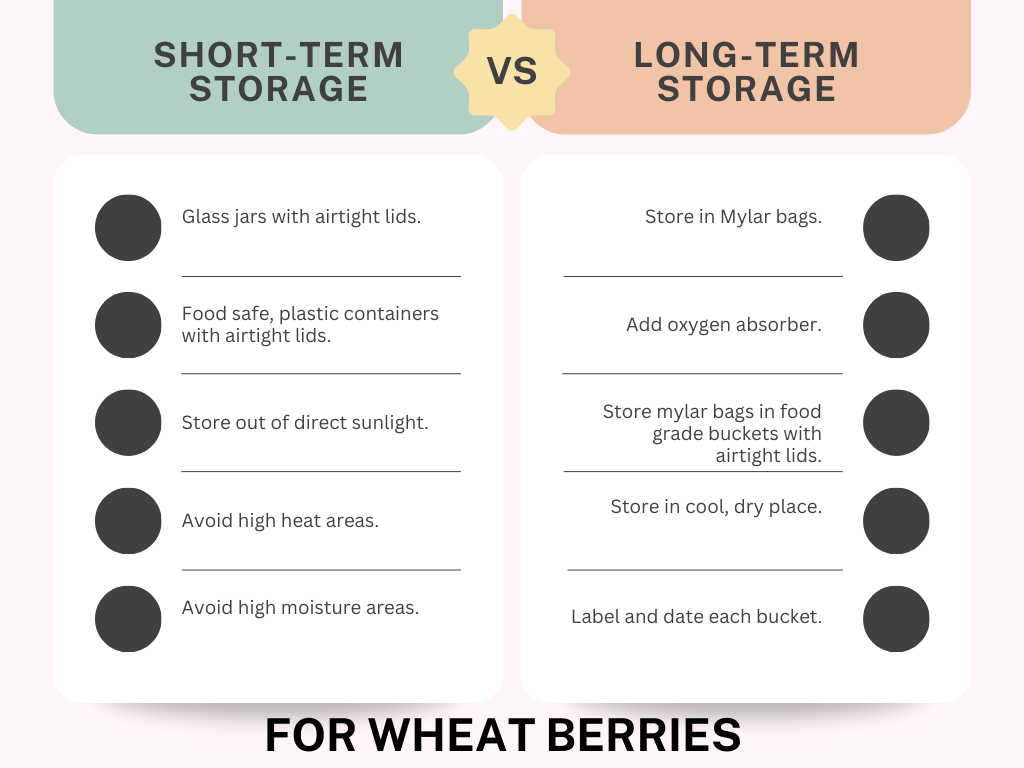This is a comparison chart about short term vs long term storage for wheat berries. There are 2 sides, one with short term and one with long term. The chart points out using glass jars with lids for short term storage and food grade buckets with mylar bags for long term storage. Both point out to store out of direct sunlight, heat, and moisture.