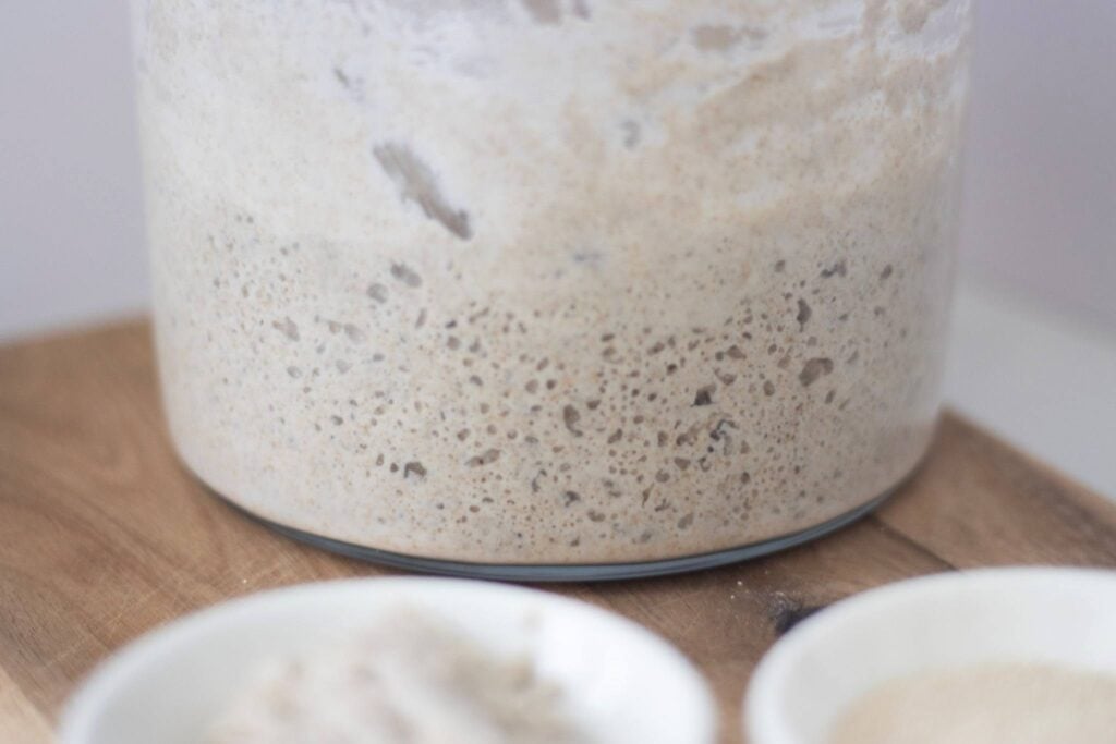 Bubby sourdough is in a big glass jar. There are small bowls blurred in the foreground with starter and yeast in them. All are sitting on a cutting board.
