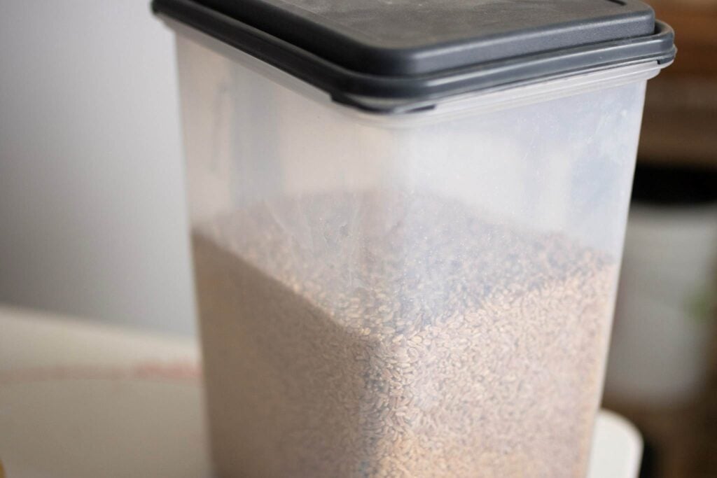 A plastic container with a black lid with wheat berries in it used for short term storage.