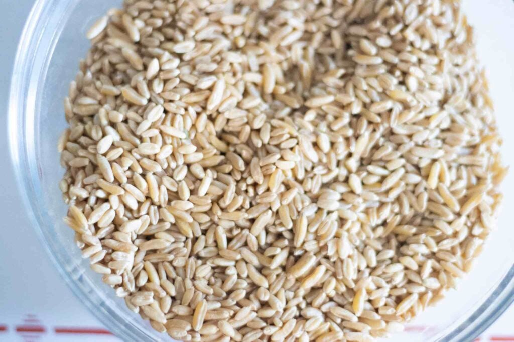 There is a glass bowl full of wheat berries for fresh milled baguettes.