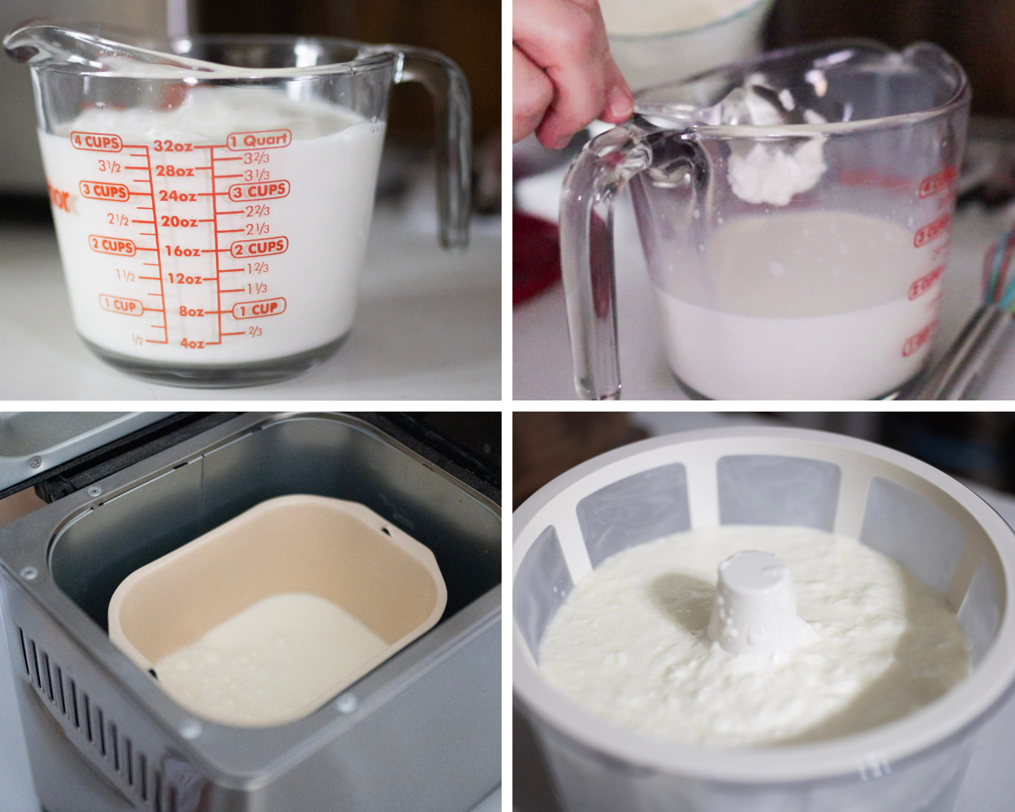 How to make Creamy Homemade Yogurt in a Bread Machine - The Rose Homestead