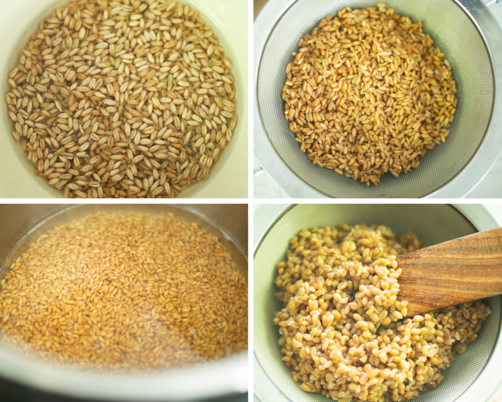 This is a 4 photo collage of cooked wheat berries in progress. 1. Soaking the wheat berries in water, 2. Draining the wheat berries, 3. Covering wheat berries with water in the Instant Pot liner, 4. Straining the cooked wheat berries.