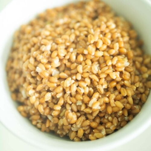 There is a white bowl full of cooked wheat berries sitting on a white counter.