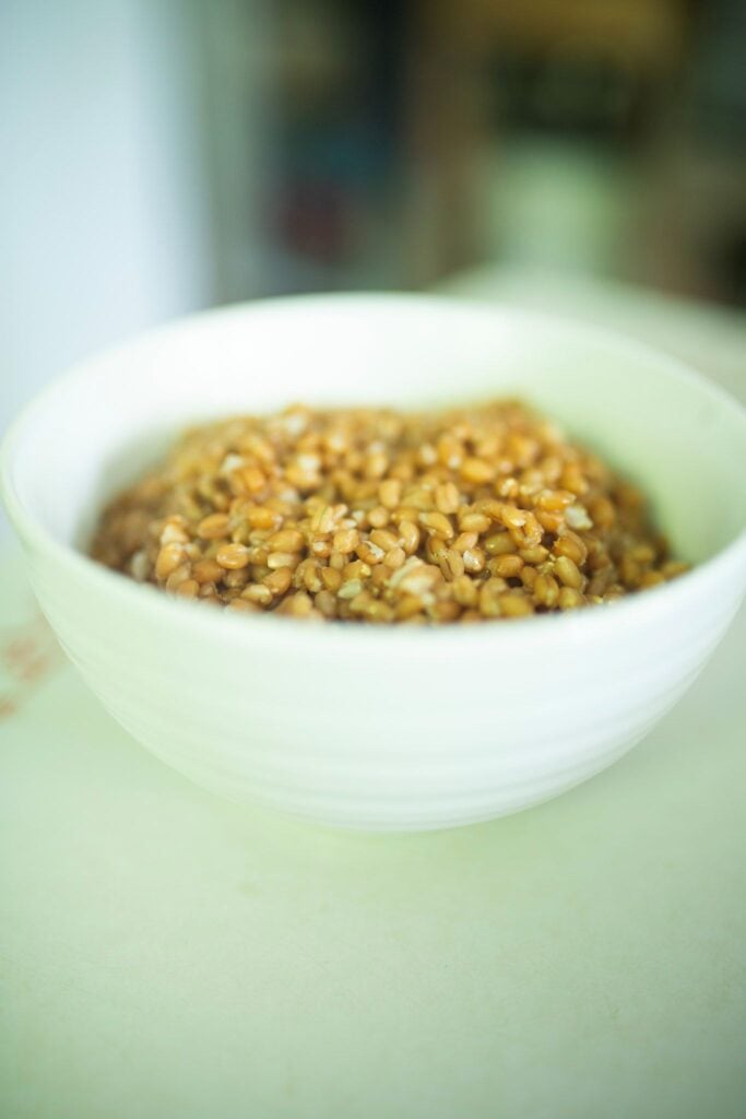 This is a side view of a white bowl full of cooked wheat berries.
