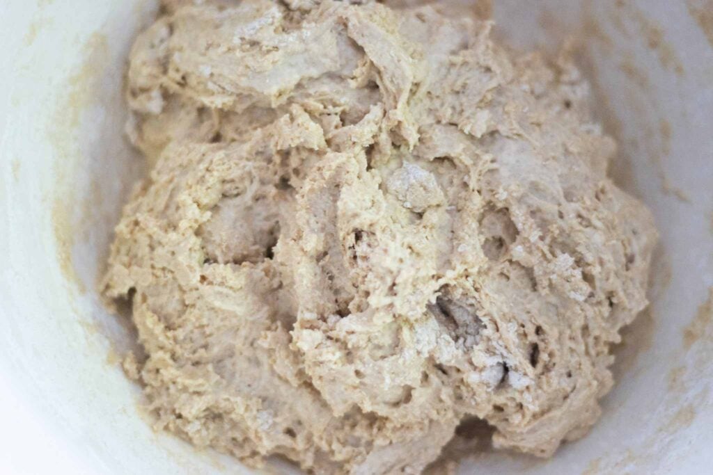 There is a shaggy ball of dough in a bowl.