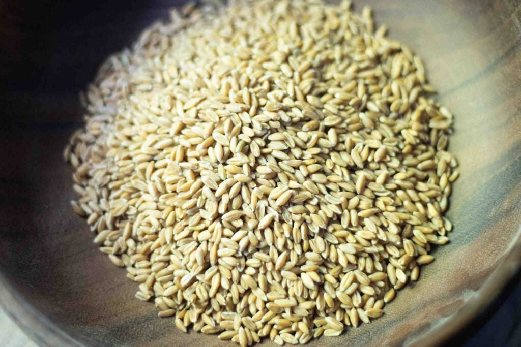 A pile of wheat berries are sitting in a dark wood bowl.