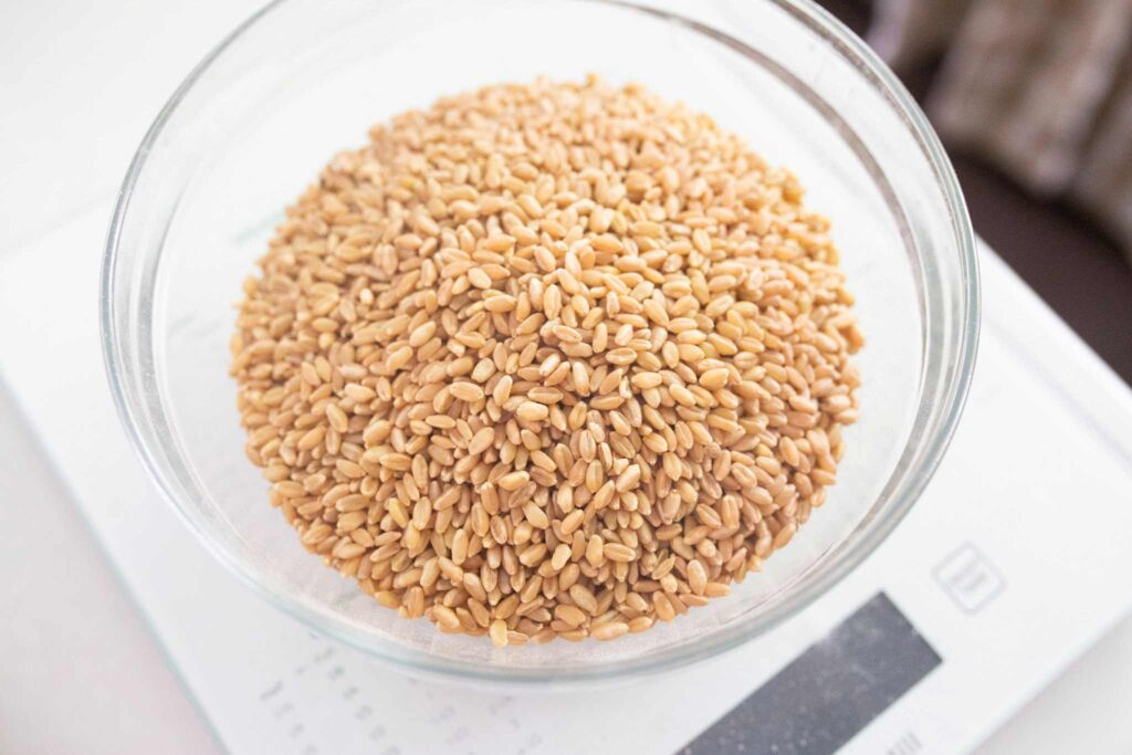 Wheat berries in a glass bowl on a kitchen scale.