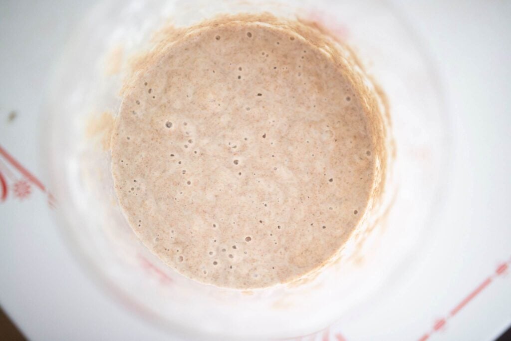Looking down into a jar of bubbly sourdough starter.