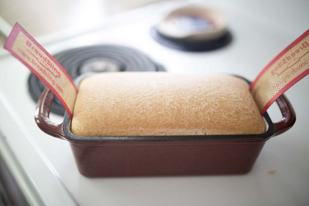 Loaf of sandwich bread is baked and sits in a red loaf pan on top of the oven.