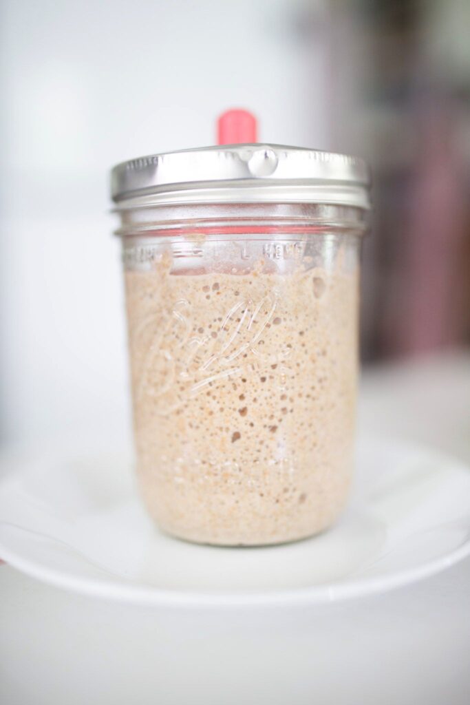 A glass jar with a fermentation lid is full of bubbly sourdough starter.