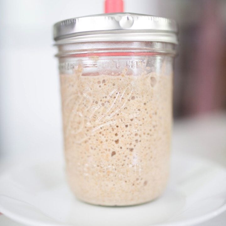 A glass jar with a fermentation lid is full of bubbly sourdough starter.