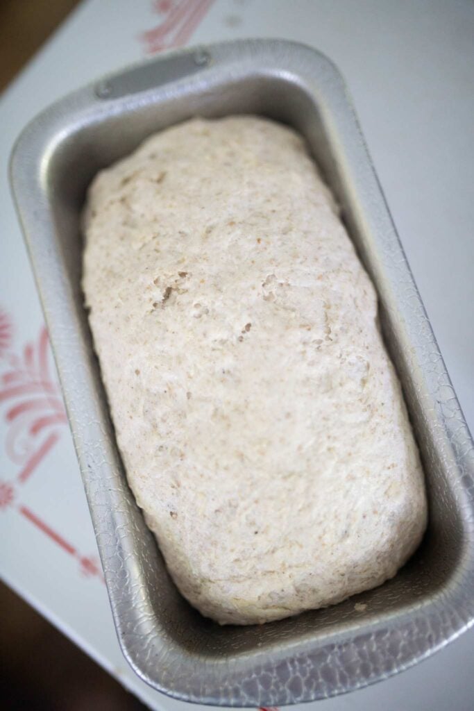 Bread dough in a loaf pan that has risen to the top of the pan.