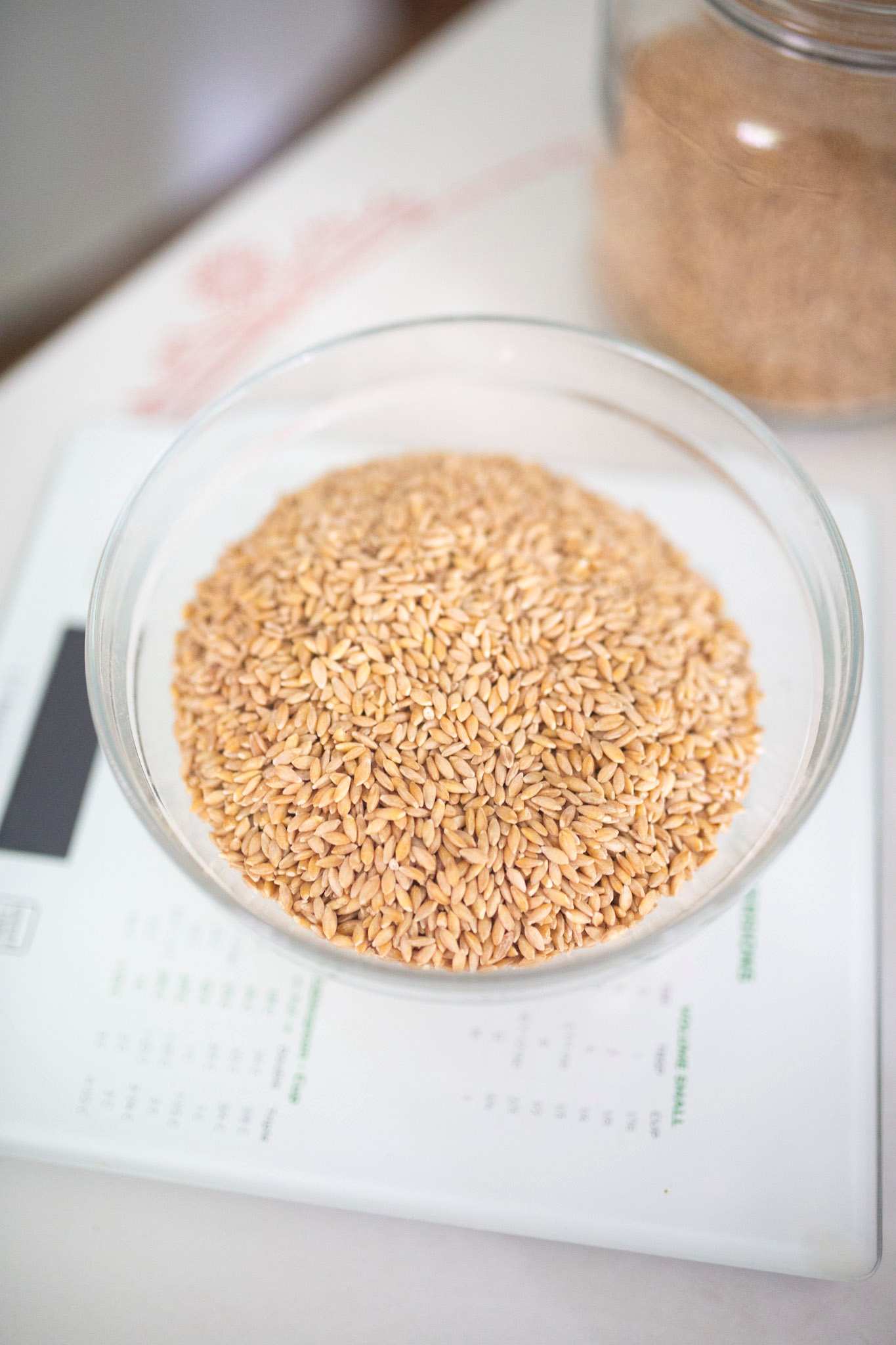 An overhead photo of wheat berries in a glass bowl.