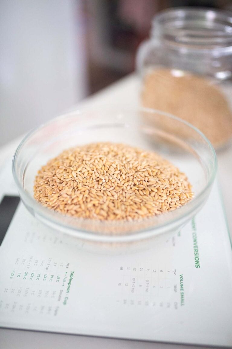 There are wheat berries in a glass bowl on a table.