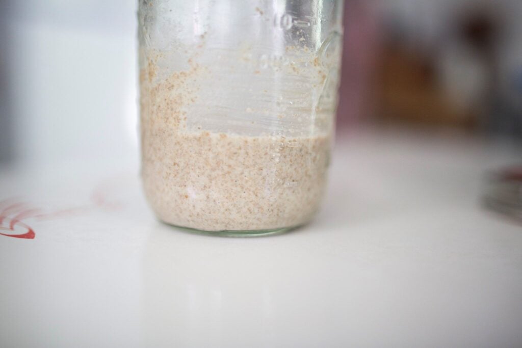 Inactive sourdough starter in a glass jar.