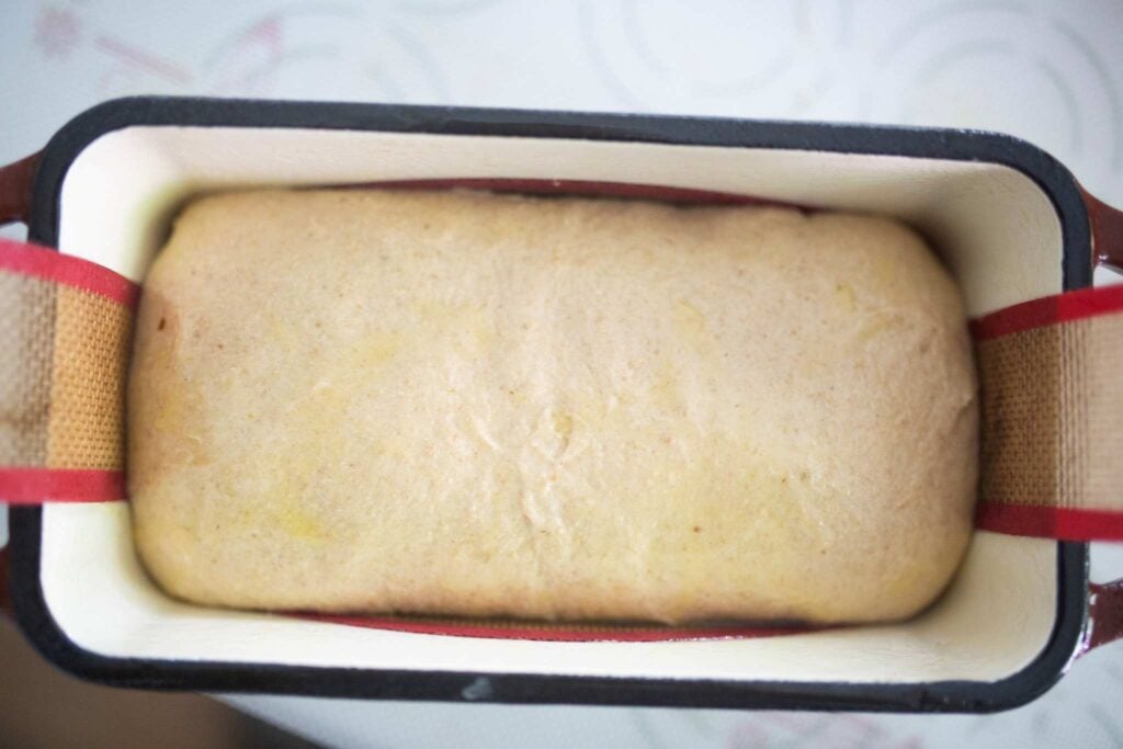 Bread dough is shaped and in a loaf pan with a silicone lifter under it.