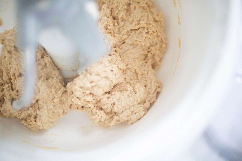 Dough is in the bowl of a stand mixer. It is shaggy.