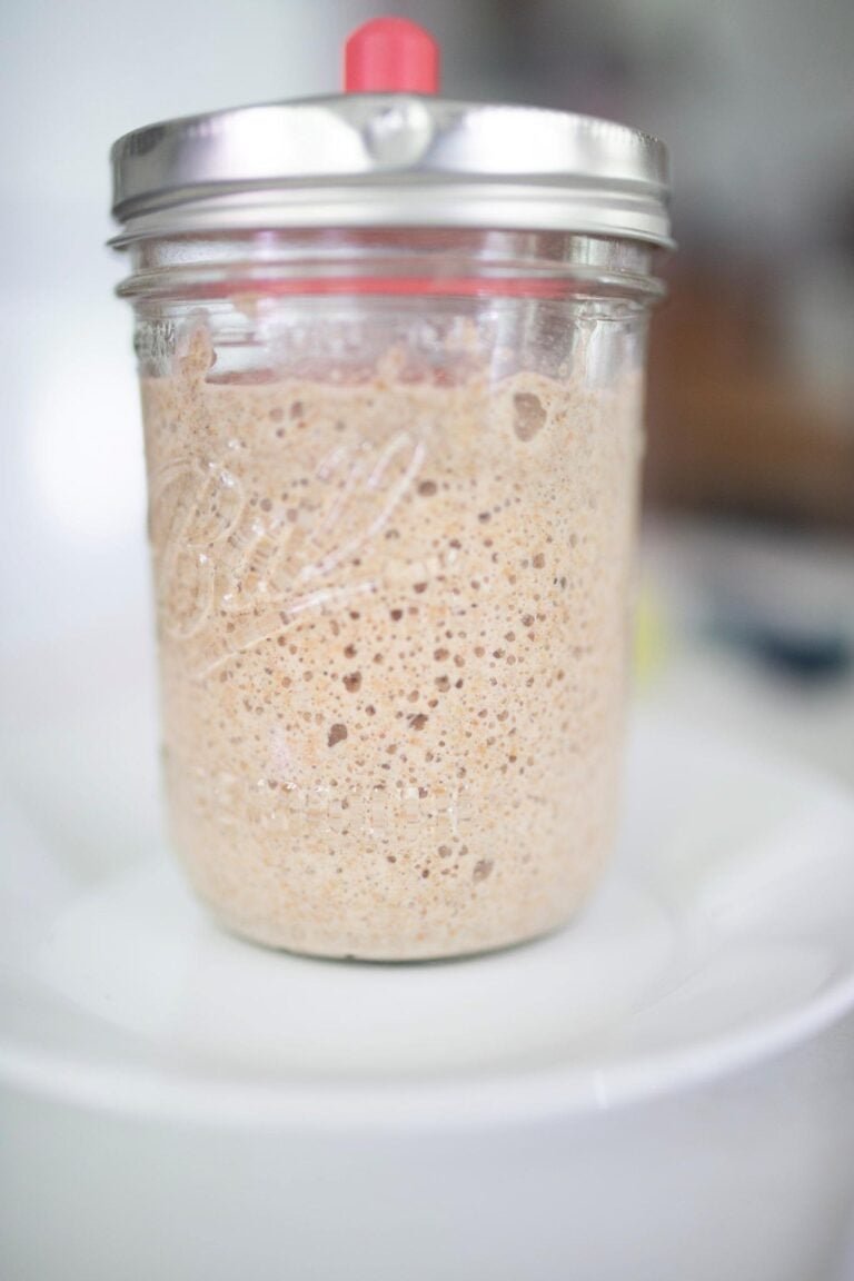 A glass jar full of very bubbly sourdough starter sits on a white plate.