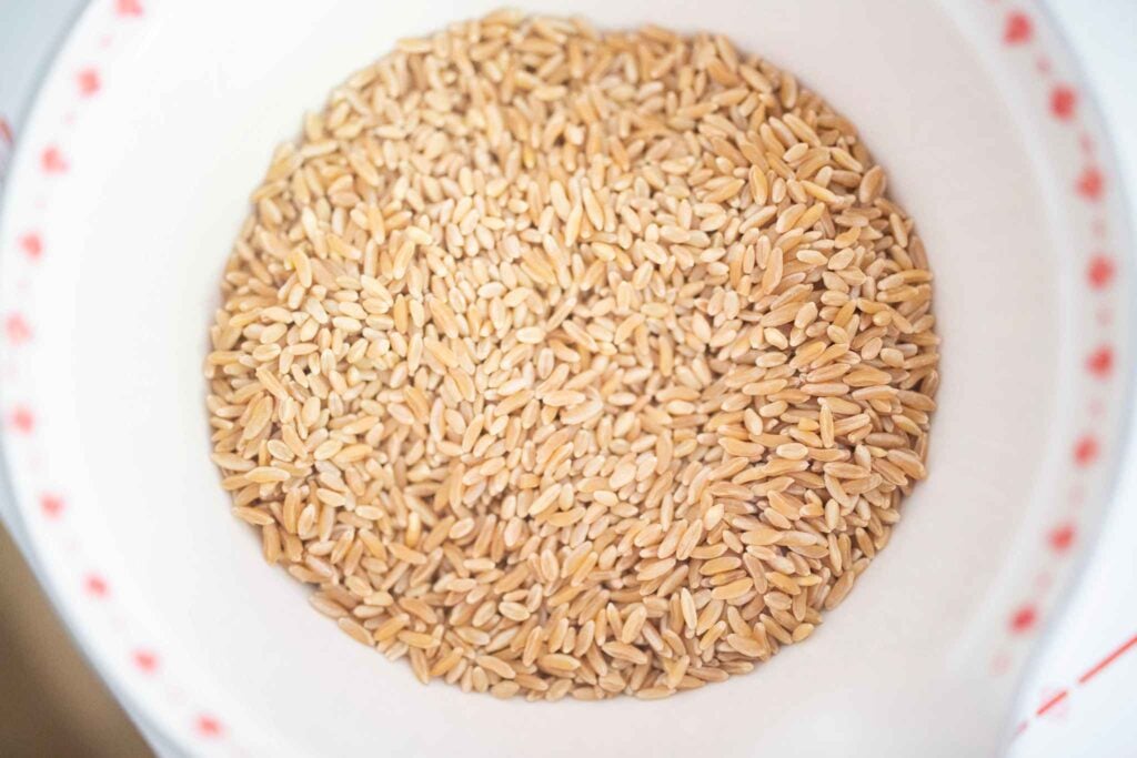 A white bowl with red flowers around the edge is full of wheat berries.