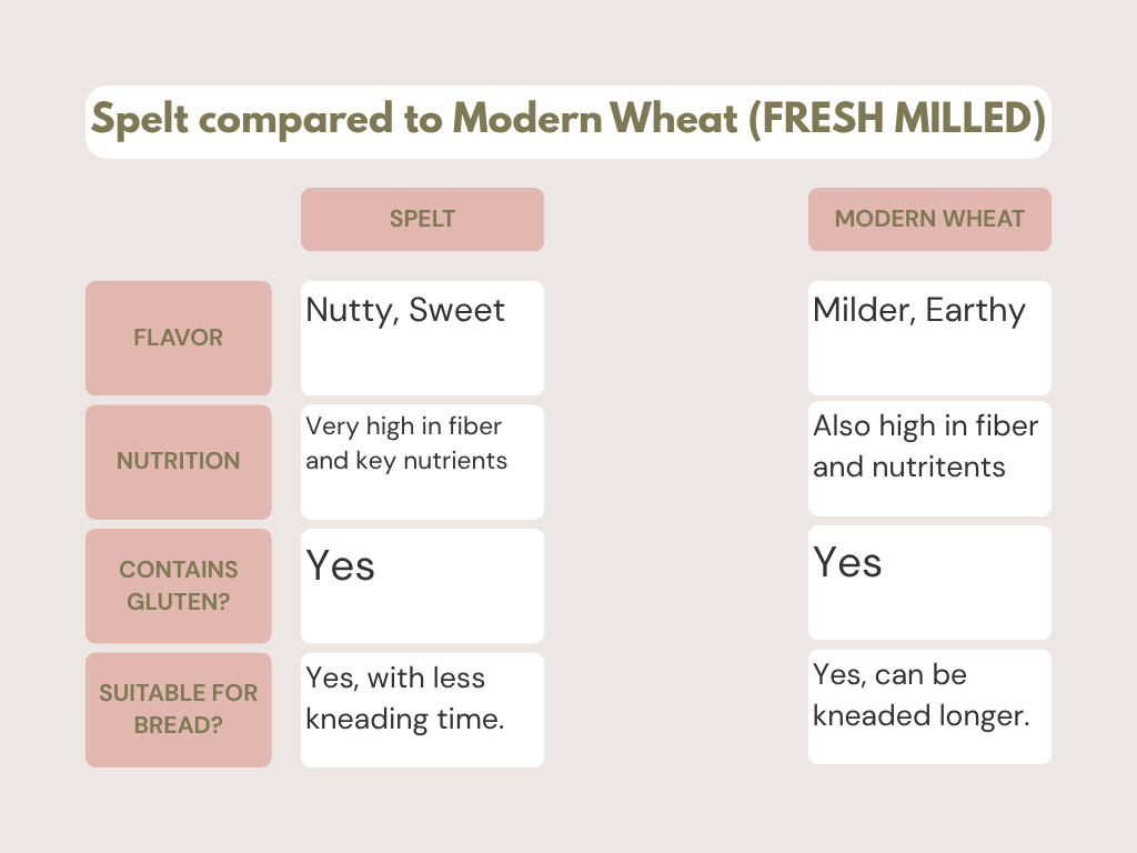 This is a chart comparing Fresh Milled Spelt flour to Modern Day flour. Flavor, nutritional value, gluten, and suitable for baking bread.