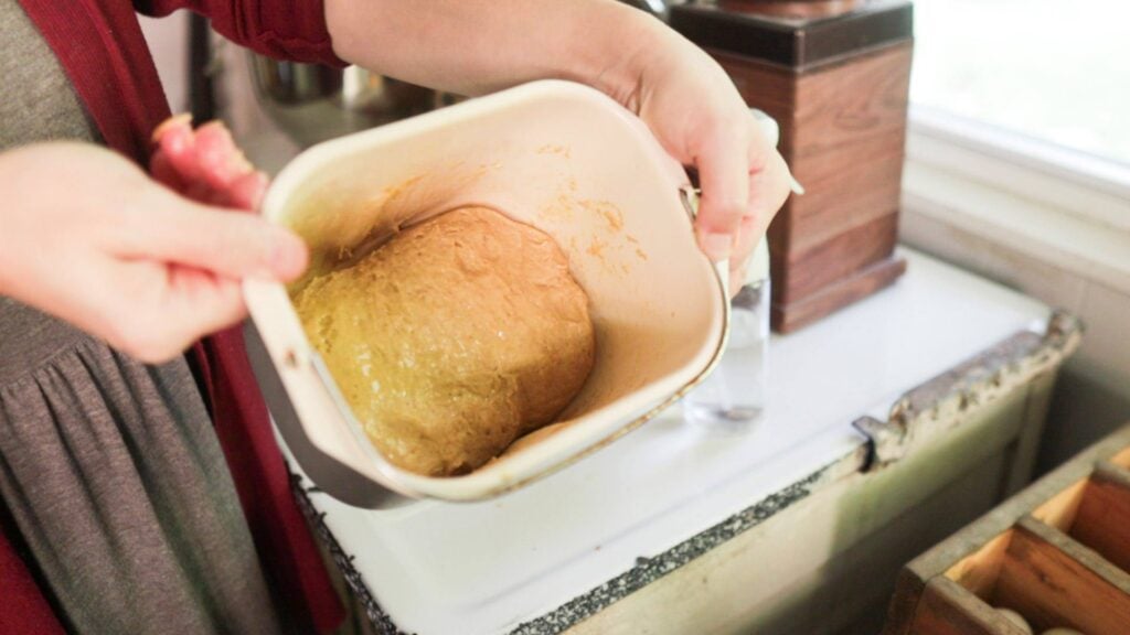 Bread dough is in a bread pan and being held up to the camera.