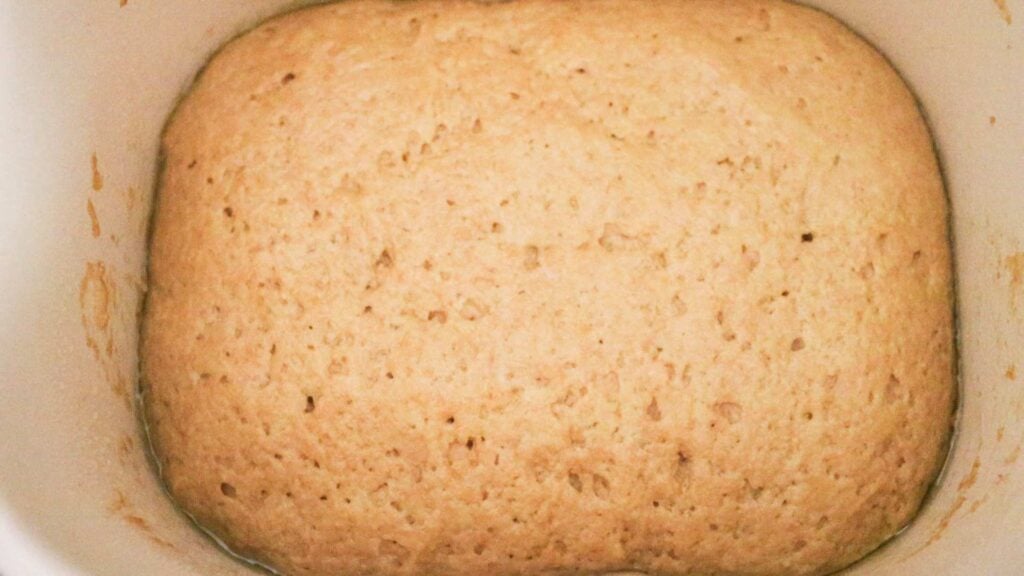 Overhead shot of bread dough rising. It is bubbly.