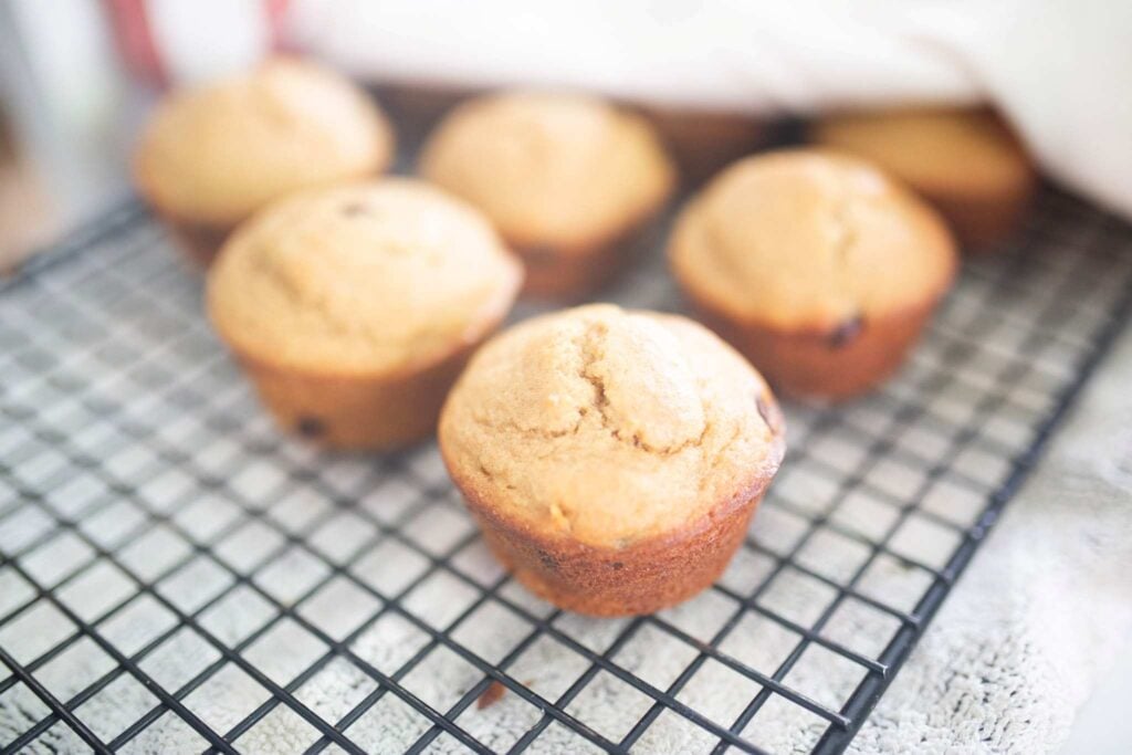 Several muffins sit on a black wire rack.