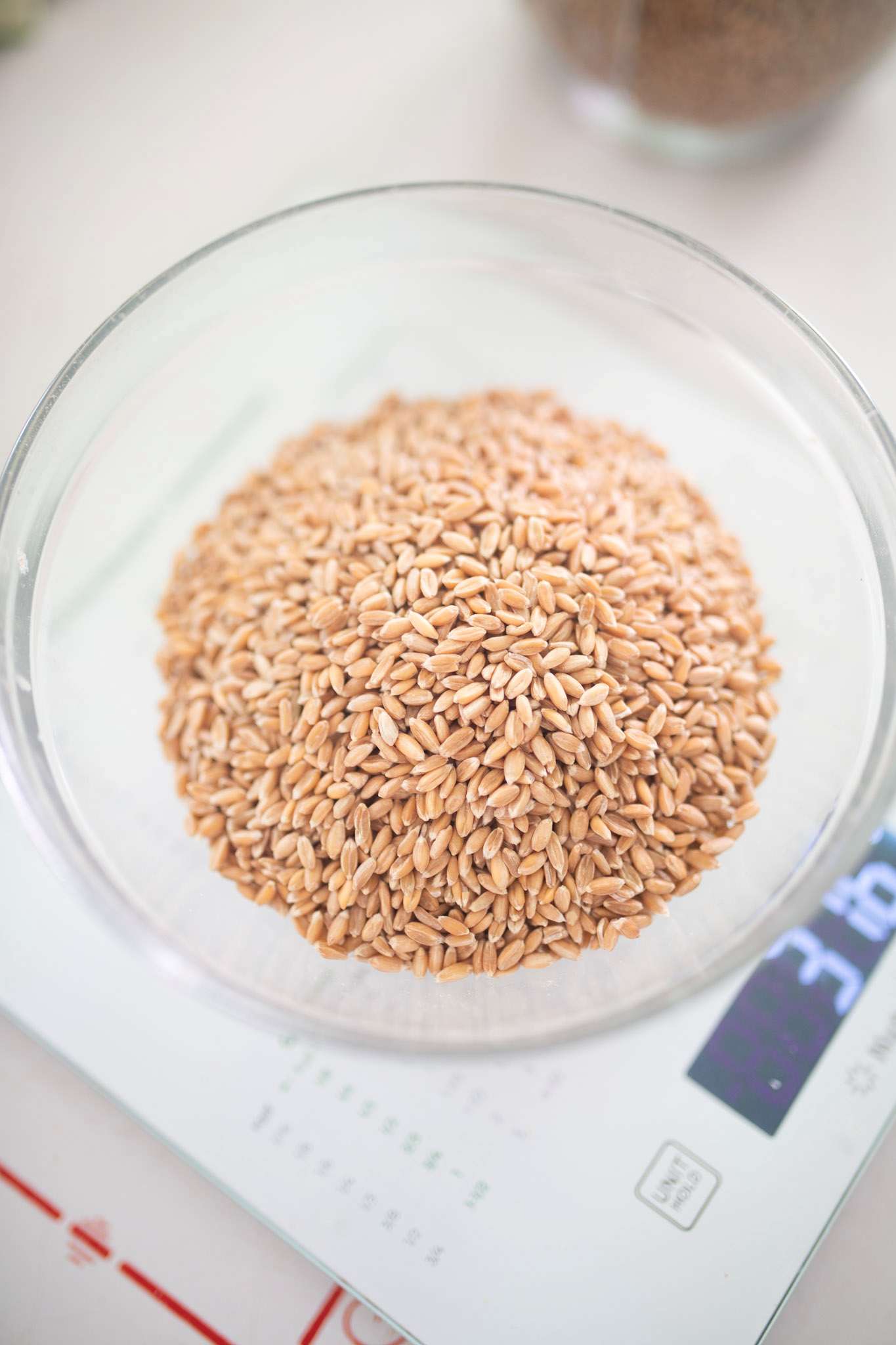 Whole grain berries are in a glass bowl sitting on a kitchen scale.