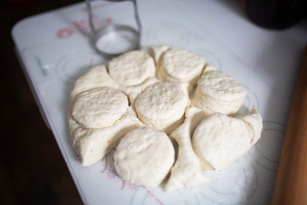 Biscuit dough has been cut into biscuits sitting on a counter.