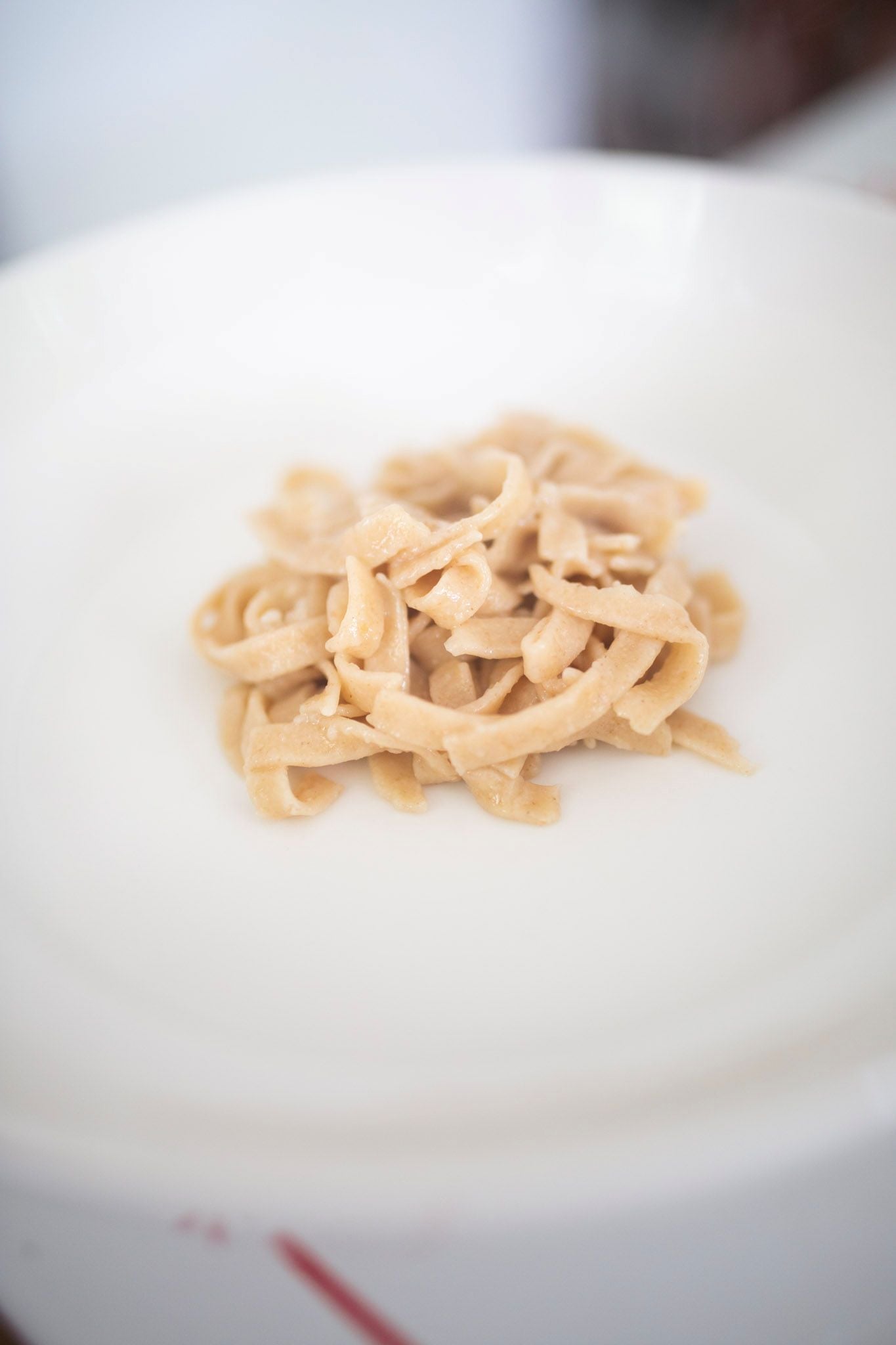 A mound of pasta noodles on a white dinner plate.