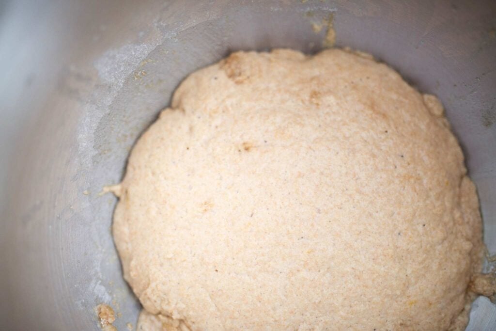 This is some dough that has been rising before adding the rest of the flour. It is bubbly.