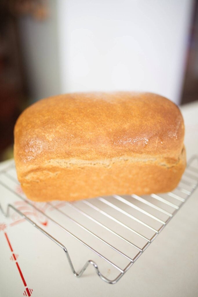 A golden brown loaf of sandwich bread sits on a metal wire rack.