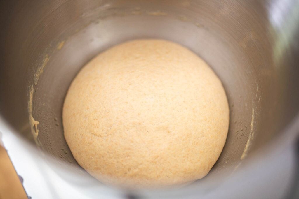 A ball of dough risen in a stainless steel bowl.