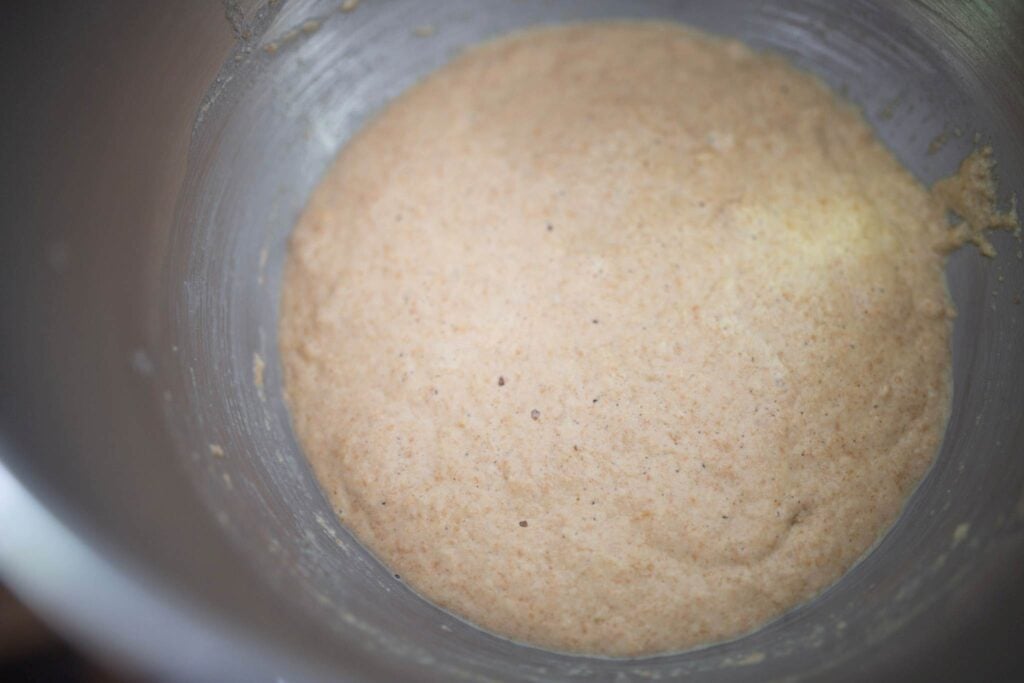 Bubbly batter sits in a stainless steel bowl.