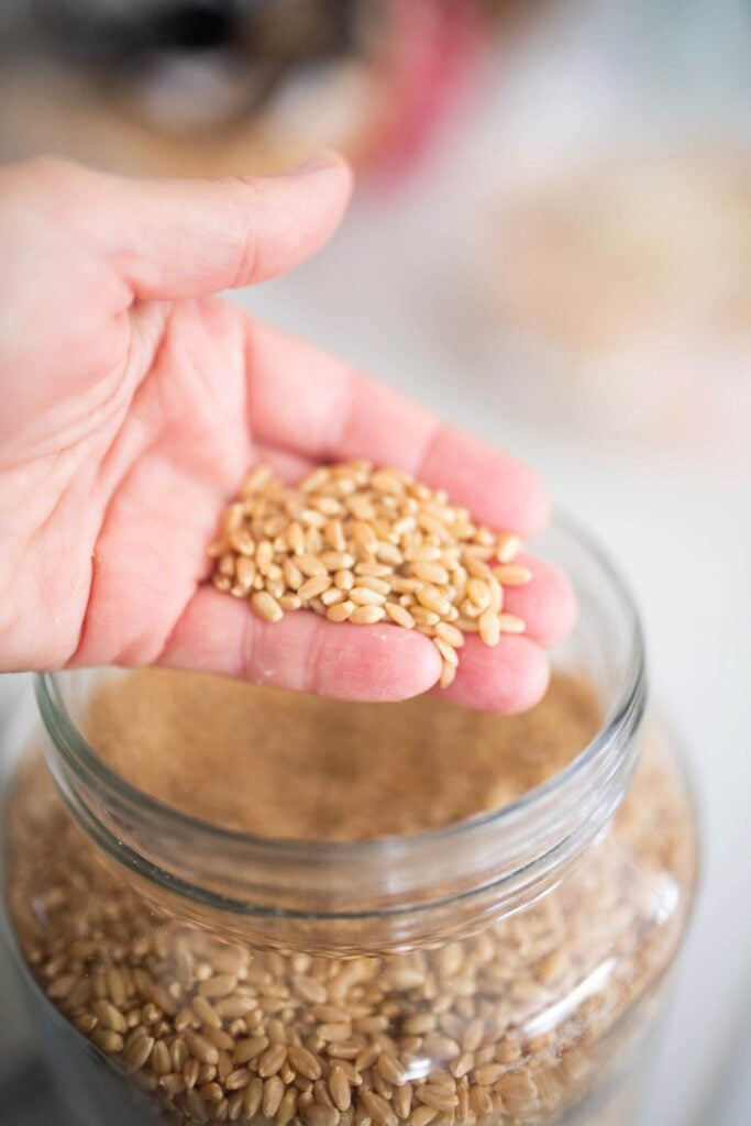 A hand is holding whole grains over a jar full of grains.