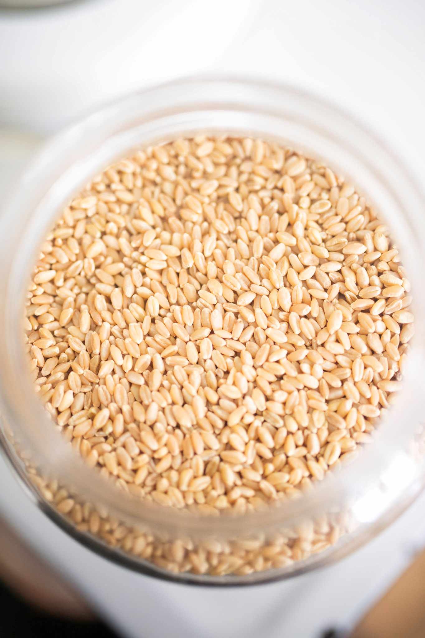 Looking over into a glass jar of whole grains.